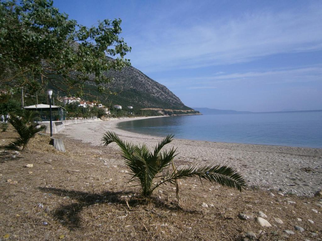 Petros Studios Poros  Bagian luar foto